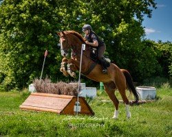 jumper Pilot Pleasure (Rhinelander, 2018, from Priano)