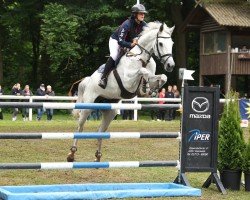 Springpferd Charlotta 43 (Holsteiner, 2012, von Cachas)