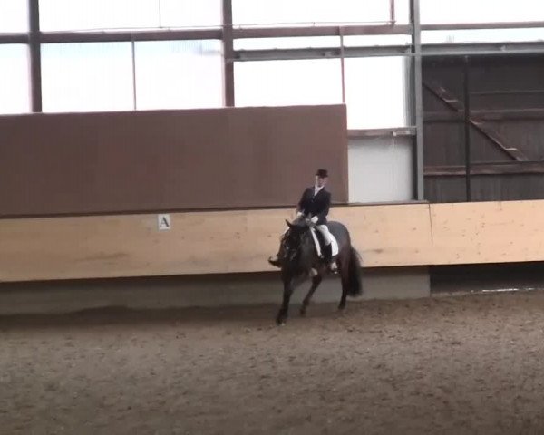 Alt Marl - Hallen-Late-Entry 2014