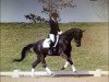 dressage horse Ria 138 (Bavarian, 2011, from Destano)