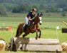 dressage horse Paula (Westphalian, 2011, from Pondor)