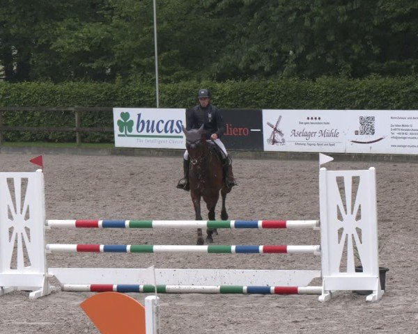 Reitturnier Klein Roscharden 2025