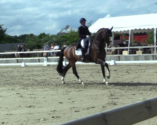 Reitturnier Scharnebeck 2025
