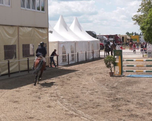 Reitturnier Kitzscher / Reitanlage Heuter 2025