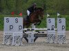 jumper Copana CH (Swiss Warmblood, 2013, from S.M. Contador)