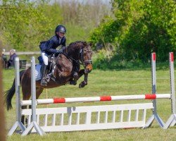 jumper Graziano 133 (Pony without race description, 2012)