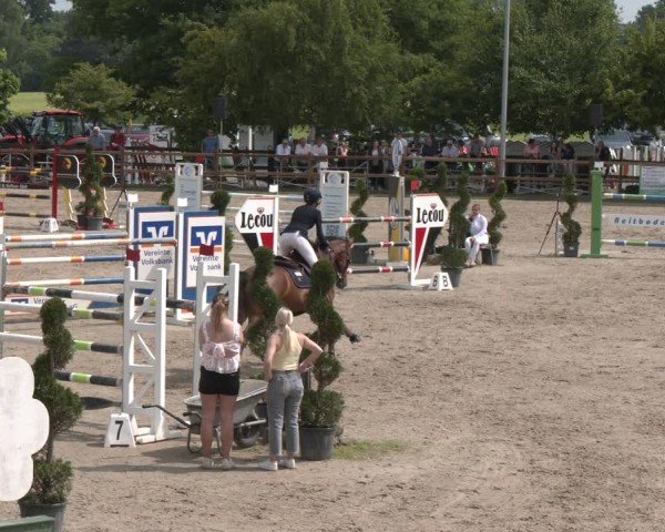 Reitturnier Kirchhellen/Stall Dieckmann 2025