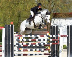 broodmare Larina 139 (Oldenburg show jumper, 2006, from Larino)