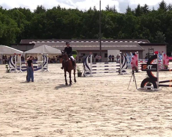 Reitturnier Kropp 2025