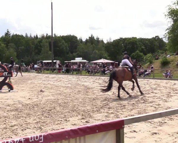 Reitturnier Kropp 2025