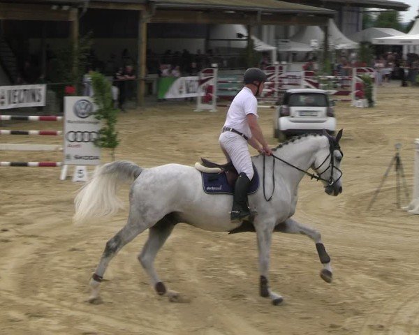 Reitturnier Hellefeld 2025