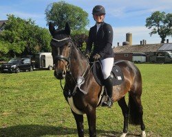 jumper ChaccCara (Oldenburg show jumper, 2019, from Chaccato)
