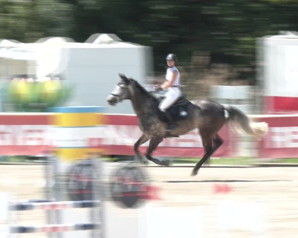 Reitturnier Lassee 2025