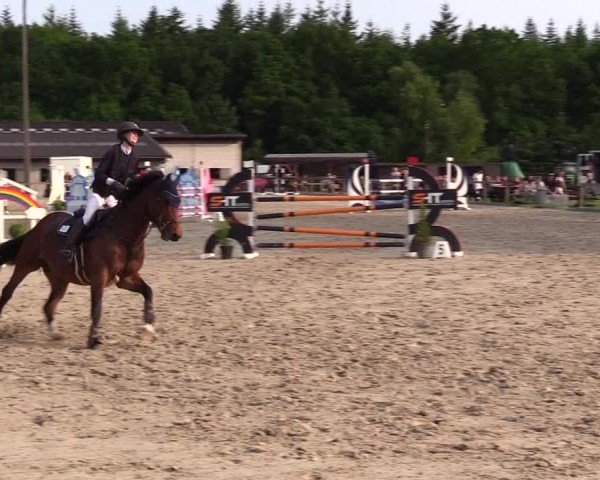 Reitturnier Kropp 2025