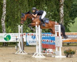 Springpferd Clemens 73 (Deutsches Sportpferd, 2015, von Carl Albert von Perm)