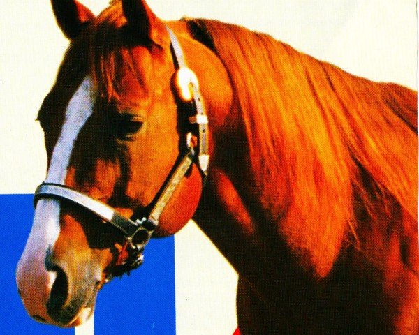 horse Wranglers Dually (Quarter Horse, 1992, from Dual Pep)