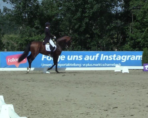 Reitturnier Scharnebeck 2025