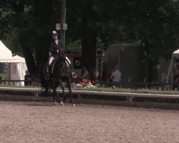 Reitturnier Hamm-Rhynern 2025