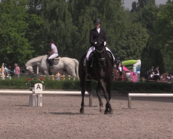 Reitturnier Hamm-Rhynern 2025