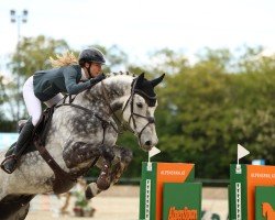 jumper Gentlemans Golden Grey (Hanoverian, 2017, from Gentleman FRH)