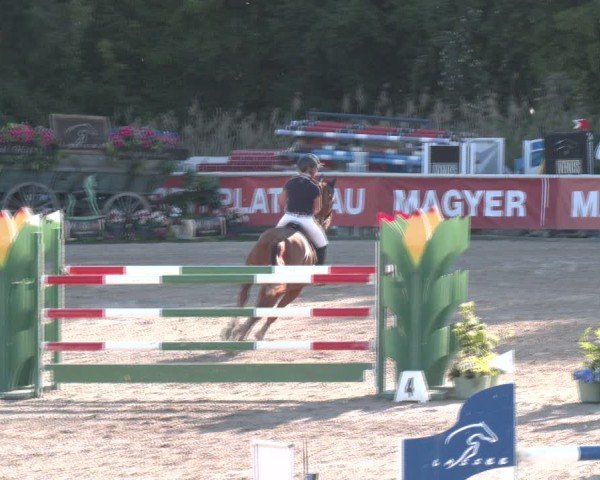 Reitturnier Lassee 2025