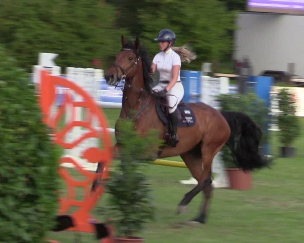 Reitturnier Scharnebeck 2025