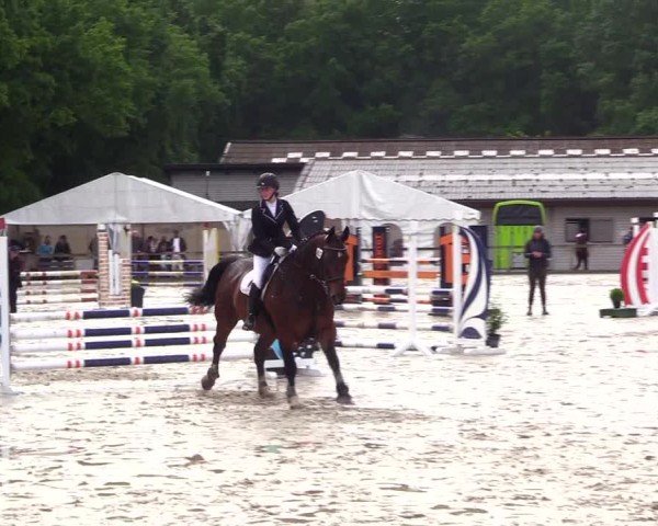 Reitturnier Kropp 2025