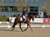 dressage horse Bond's Sanroniro (Oldenburg, 2017, from Bonds)