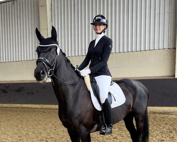 dressage horse Virginia 245 (Rhinelander, 2016, from Voyageur 2)
