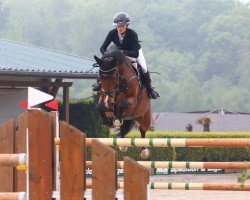 Springpferd Charlemagne 15 (Deutsches Sportpferd, 2017, von Cullinan du Borget B)