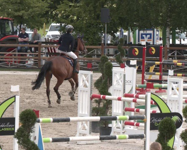 Reitturnier Kirchhellen/Stall Dieckmann 2025