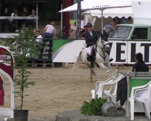 Reitturnier Hellefeld 2025