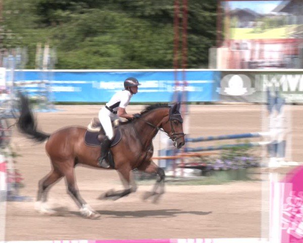 Reitturnier Lassee 2025
