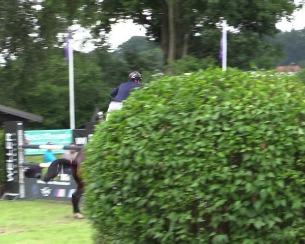 Reitturnier Scharnebeck 2025