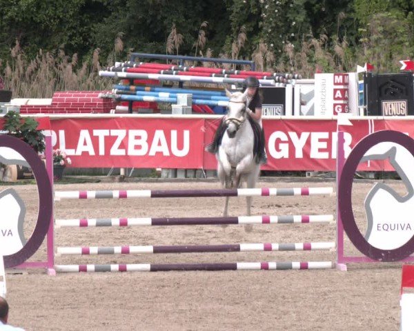 Reitturnier Lassee 2025