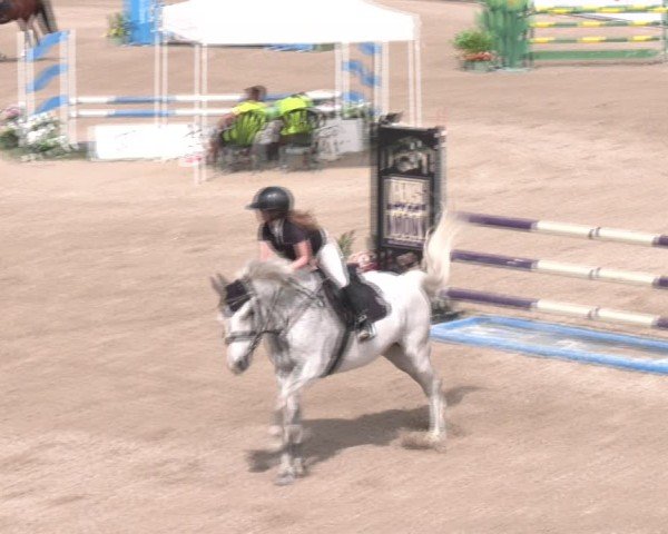 Reitturnier Lassee 2025