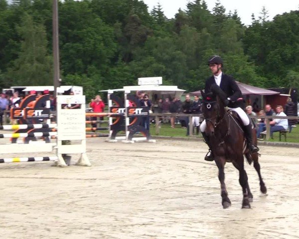 Reitturnier Kropp 2025