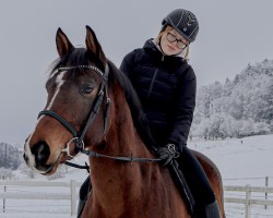 jumper Karajan L CH (Swiss Warmblood, 2017, from Kannan Jd)