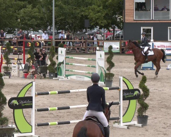 Reitturnier Kirchhellen/Stall Dieckmann 2025