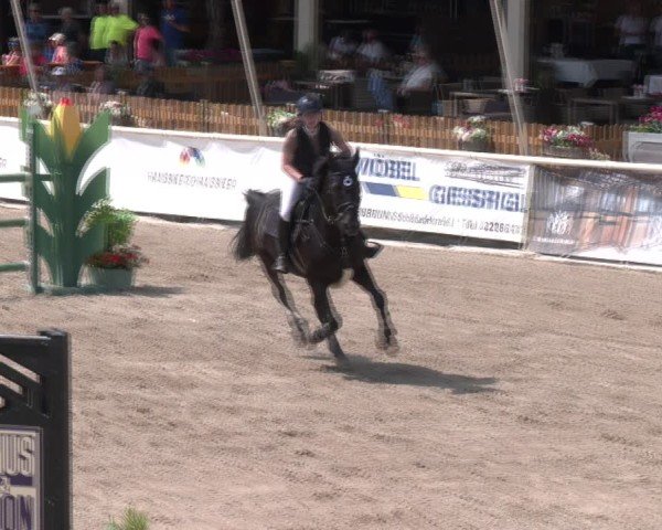 Reitturnier Lassee 2025