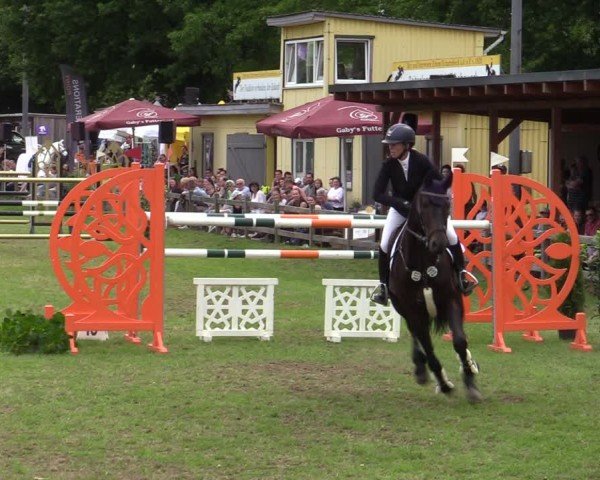 Reitturnier Scharnebeck 2025