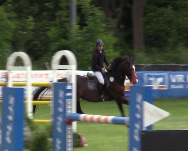 Reitturnier Scharnebeck 2025