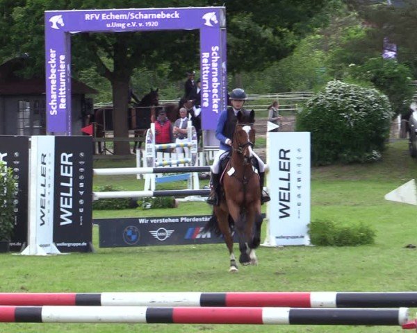 Reitturnier Scharnebeck 2025