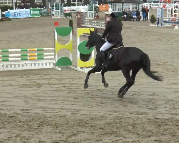 Lenklarer Reitertage 2014