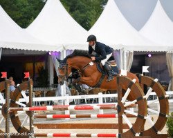 jumper Annie Get Your Gun 4 (German Sport Horse, 2015, from Cascadello)