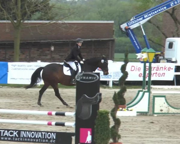 Lenklarer Reitertage 2014