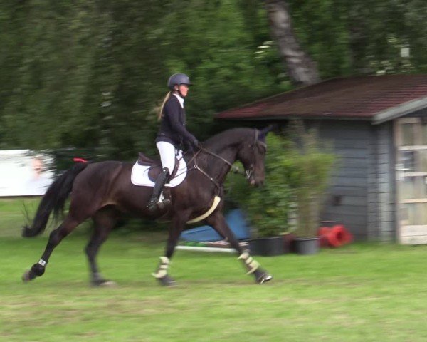 Reitturnier Scharnebeck 2025