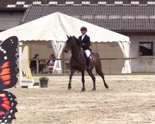 Reitturnier Kropp 2025