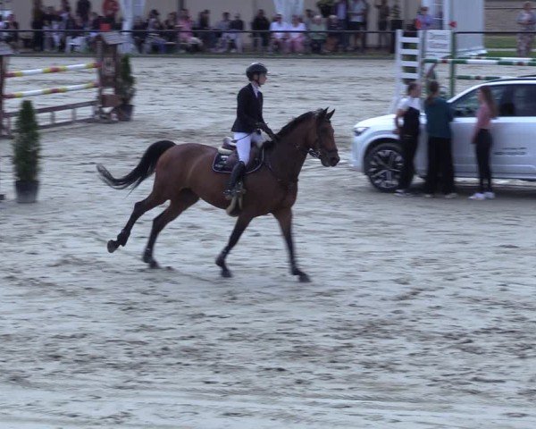 Reitturnier Hamm-Rhynern 2025