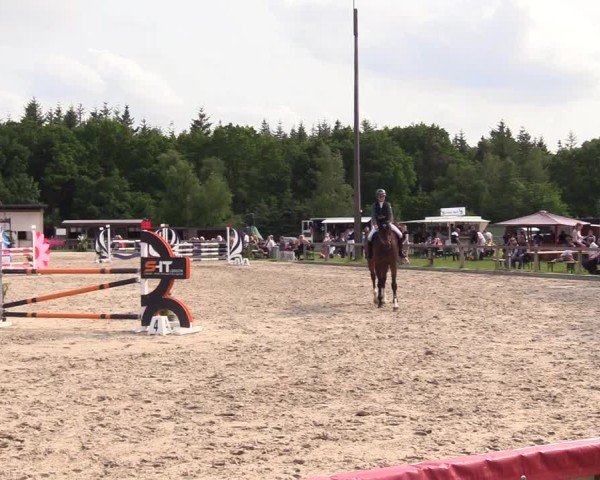 Reitturnier Kropp 2025